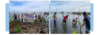 PSU-AC goes Mangrove Rehabilitation and Planting at Bolinao