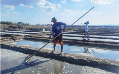 Mapping Initiative Uncovers Untapped Potential in Pangasinan’s Salt Industry